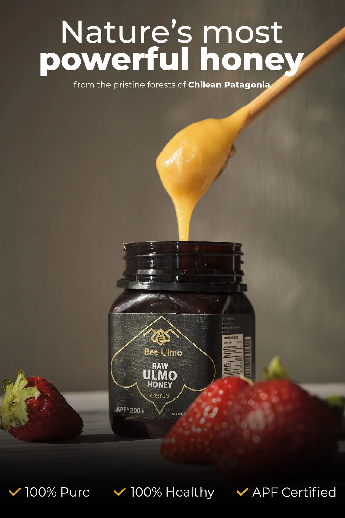 health benefits of Raw Ulmo Honey. raw ulmo honey, nature’s most powerful honey from Chilean Patagonia, 100% pure, healthy, and APF certified.