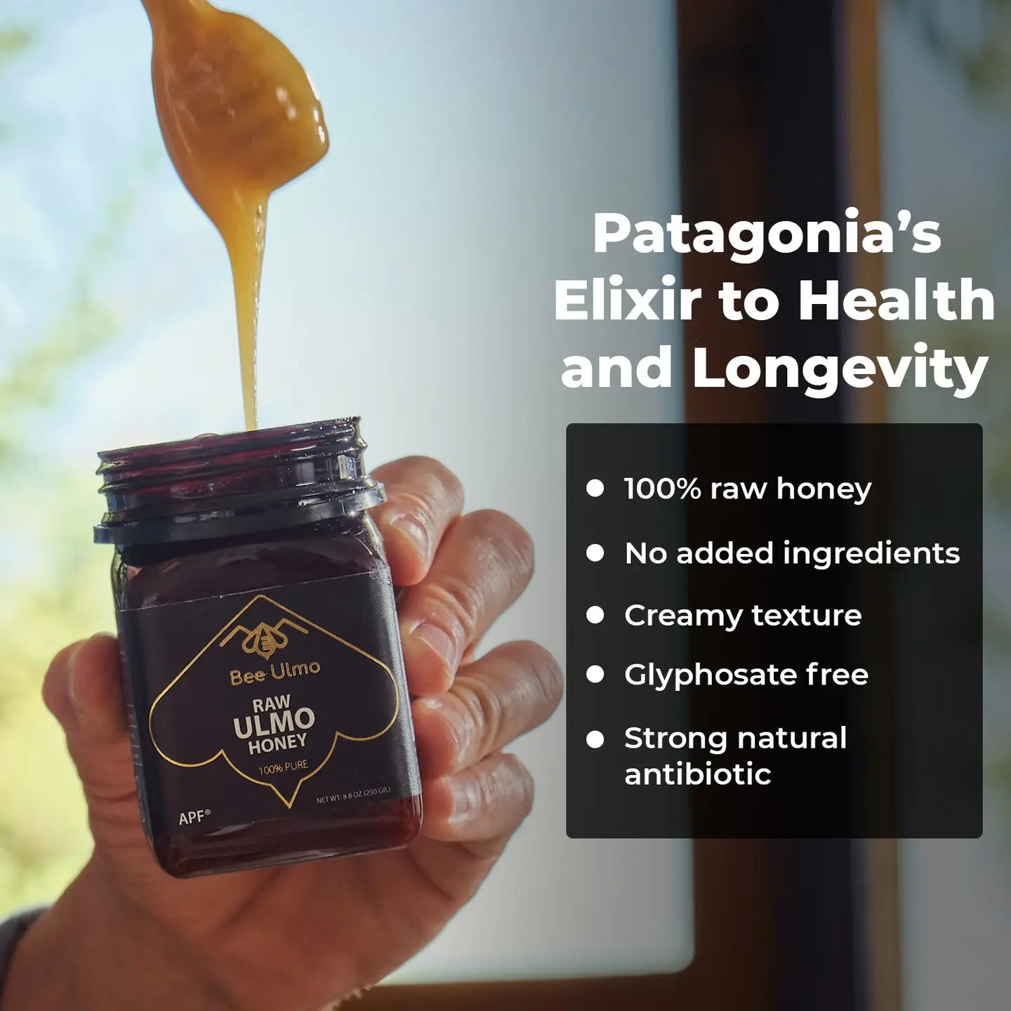 100% raw ulmo honey, creamy texture ulmo honey, strong natural antibiotic raw ulmo honey from Patagonia Chile