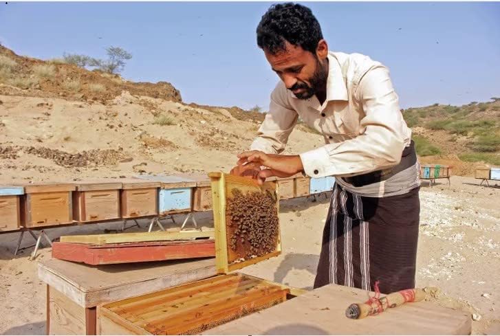 Yemeni Euphoria Honey 300G - Zaydal