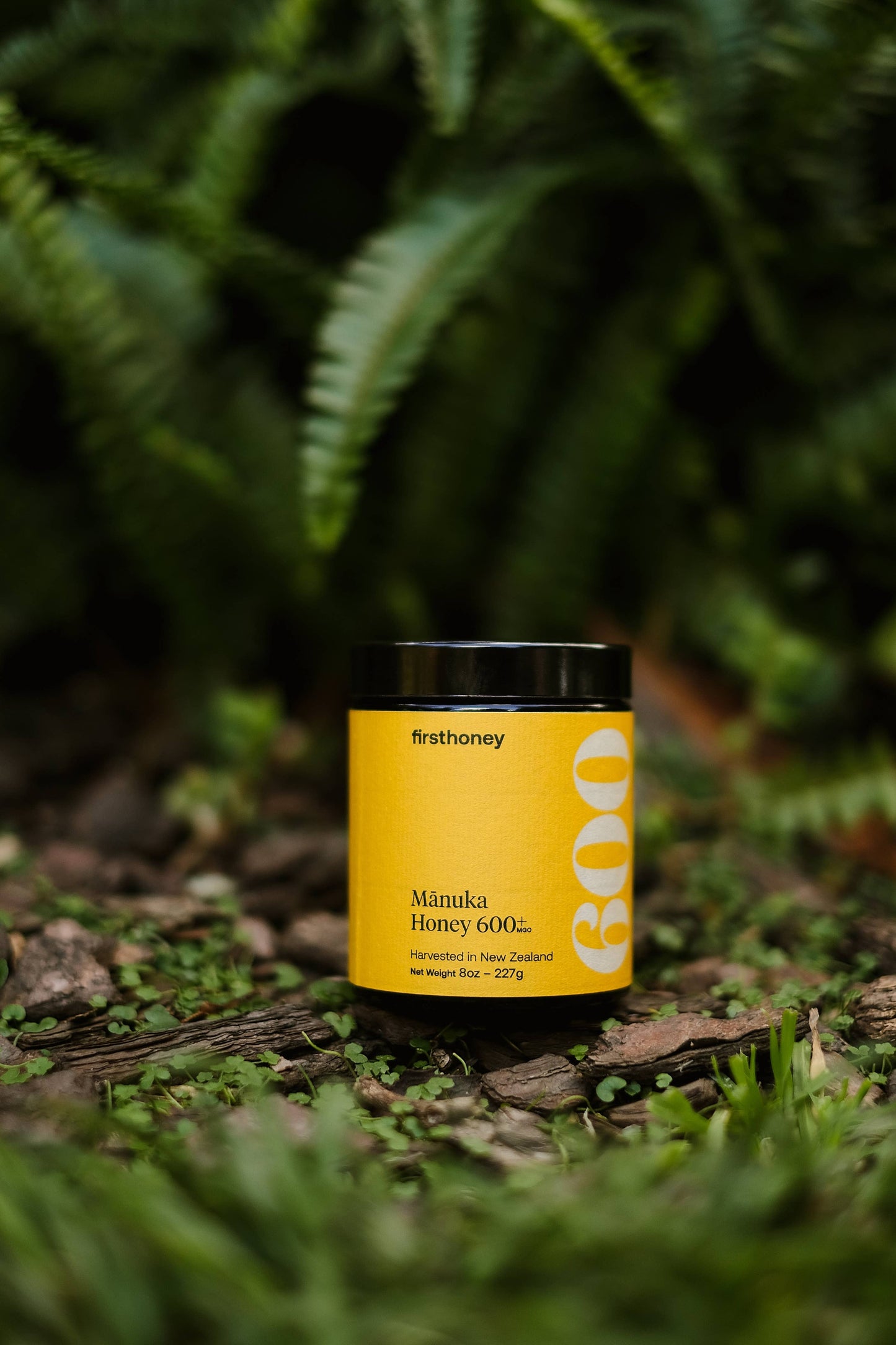 Manuka Honey 600+ MGO (8oz) - Zaydal
