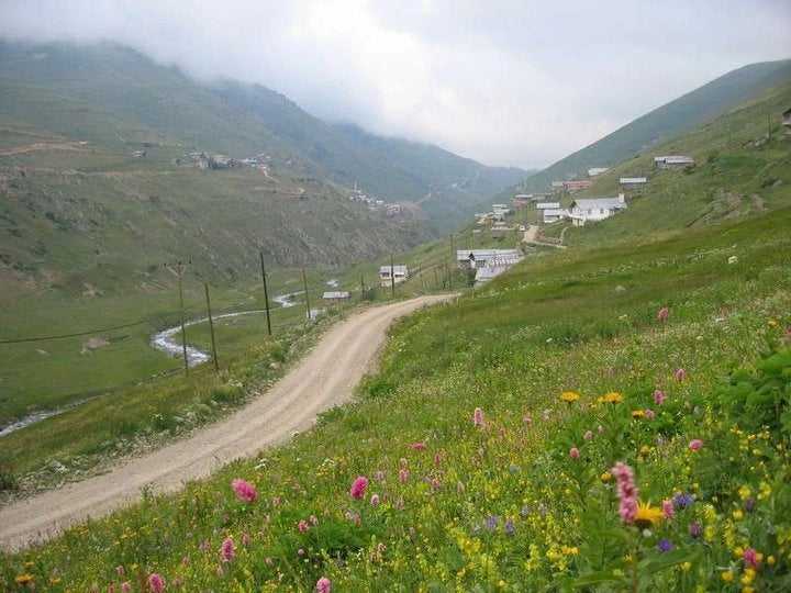 Turkish Anzer Honey from the Rize Plateau